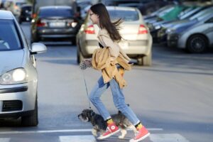 専門看護師の合格率はどのくらいですか？