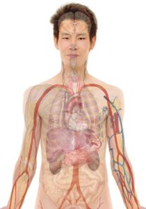 老人看護専門看護師になるにはどのようなステップが必要ですか？