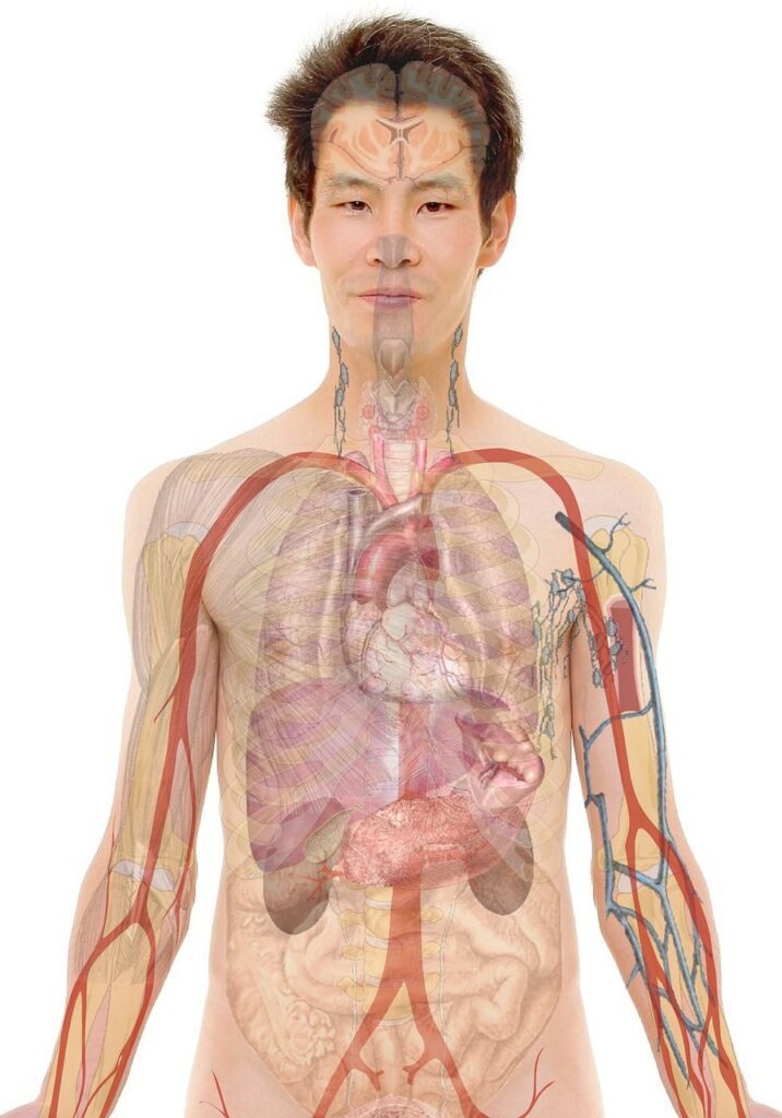 老人看護専門看護師になるにはどのようなステップが必要ですか？